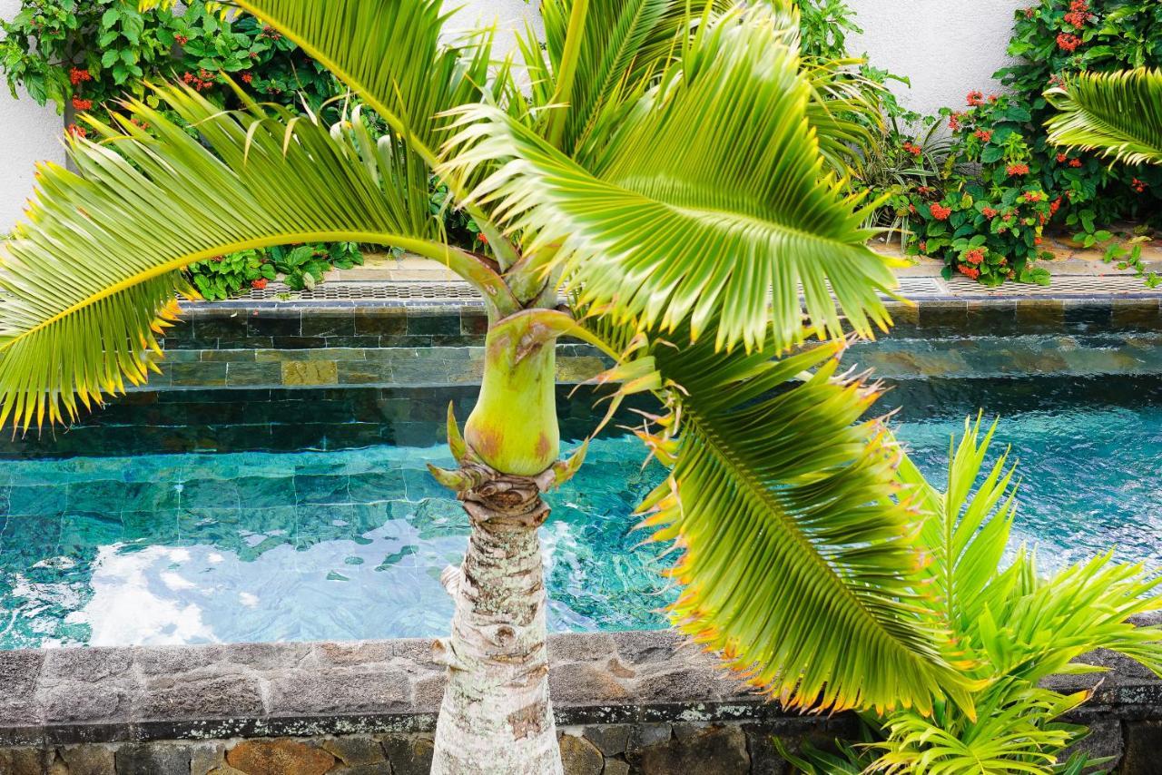 Luxury Villa L'Ile Maurice ปวงต์โตกาโนนิเยร์ ภายนอก รูปภาพ